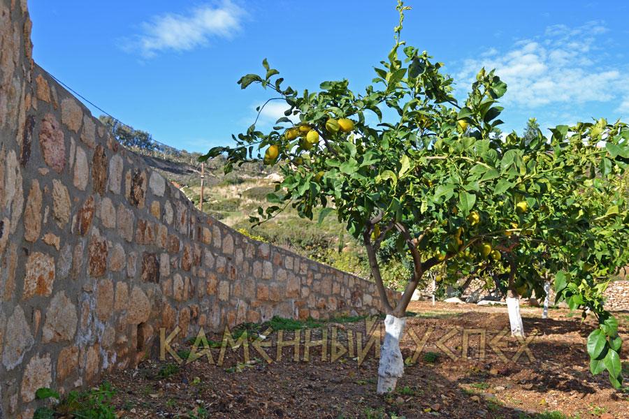 фруктовый сад каменный забор