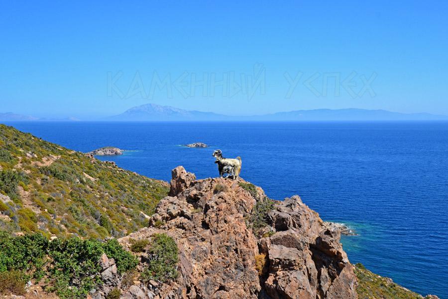 дикая природа Греции