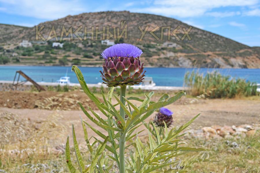 растительность Греции