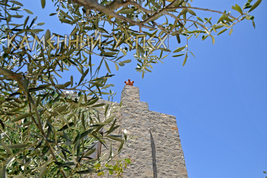 дом с плоской крышей и оливковым садом