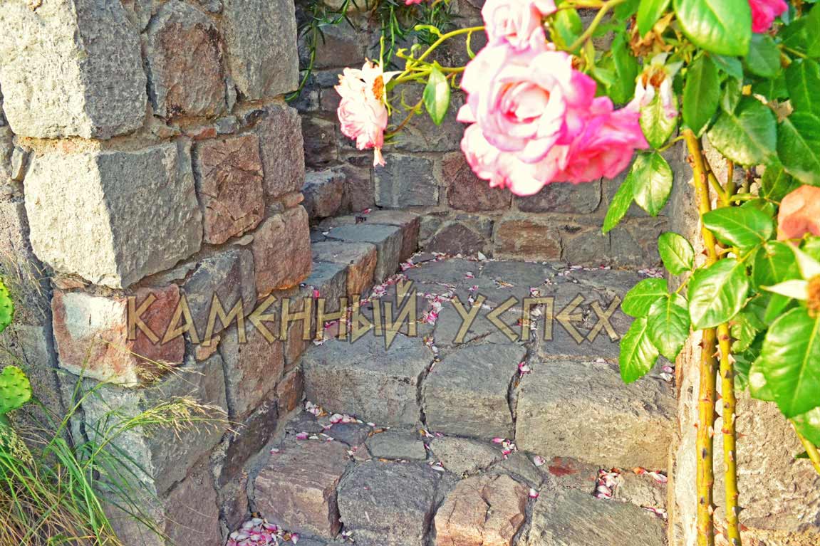 плетистые розы на каменной лестнице